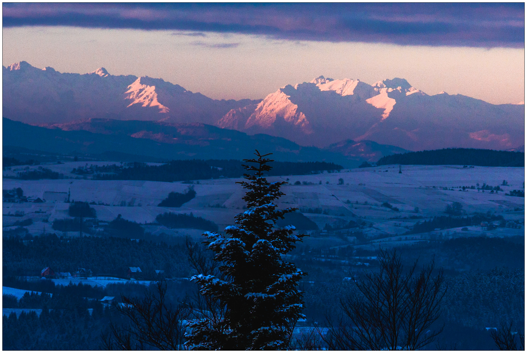 Tatry z Brzanki - Świnica